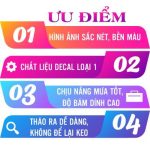 Tem dán xe 63 tỉnh thành Việt Nam, Performance, miếng dán chống thấm nước, không bay màu - Ảnh 7